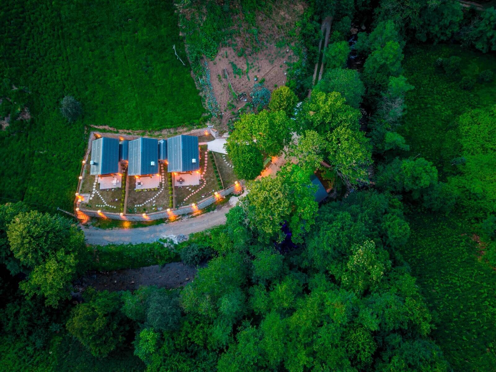 Vista aérea de una instalación impulsada por energía solar rodeada de un bosque denso, con un edificio central con paneles solares y un camino pavimentado.
