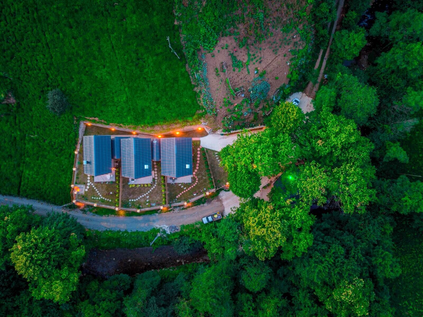 An aerial view of a solar farm with multiple solar panels, surrounded by dense greenery and a dirt path.