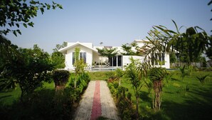 Una casa moderna con un camino empedrado que conduce a la entrada, rodeada de abundante vegetación.