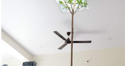 Beautiful 3-bedroom farmhouse with AC in peaceful Lalpura,jaipur