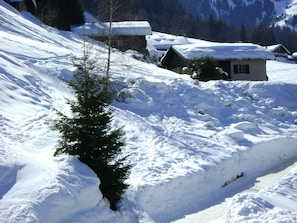 Paisagem coberta de neve com uma única árvore e um pequeno edifício.