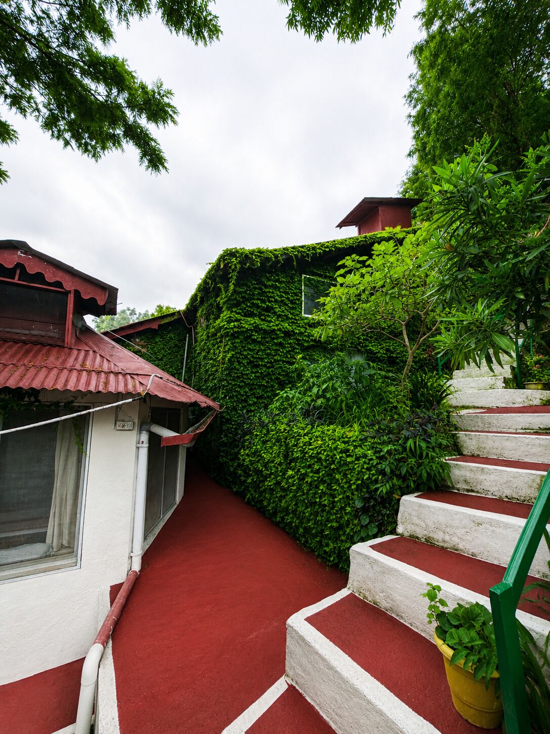 A narrow pathway leading to a building with a red roof, surrounded by lush greenery and a red pathway.