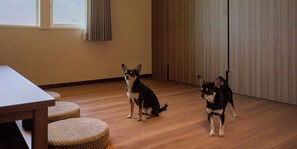 Una habitación con piso de madera, una mesa y dos perros.