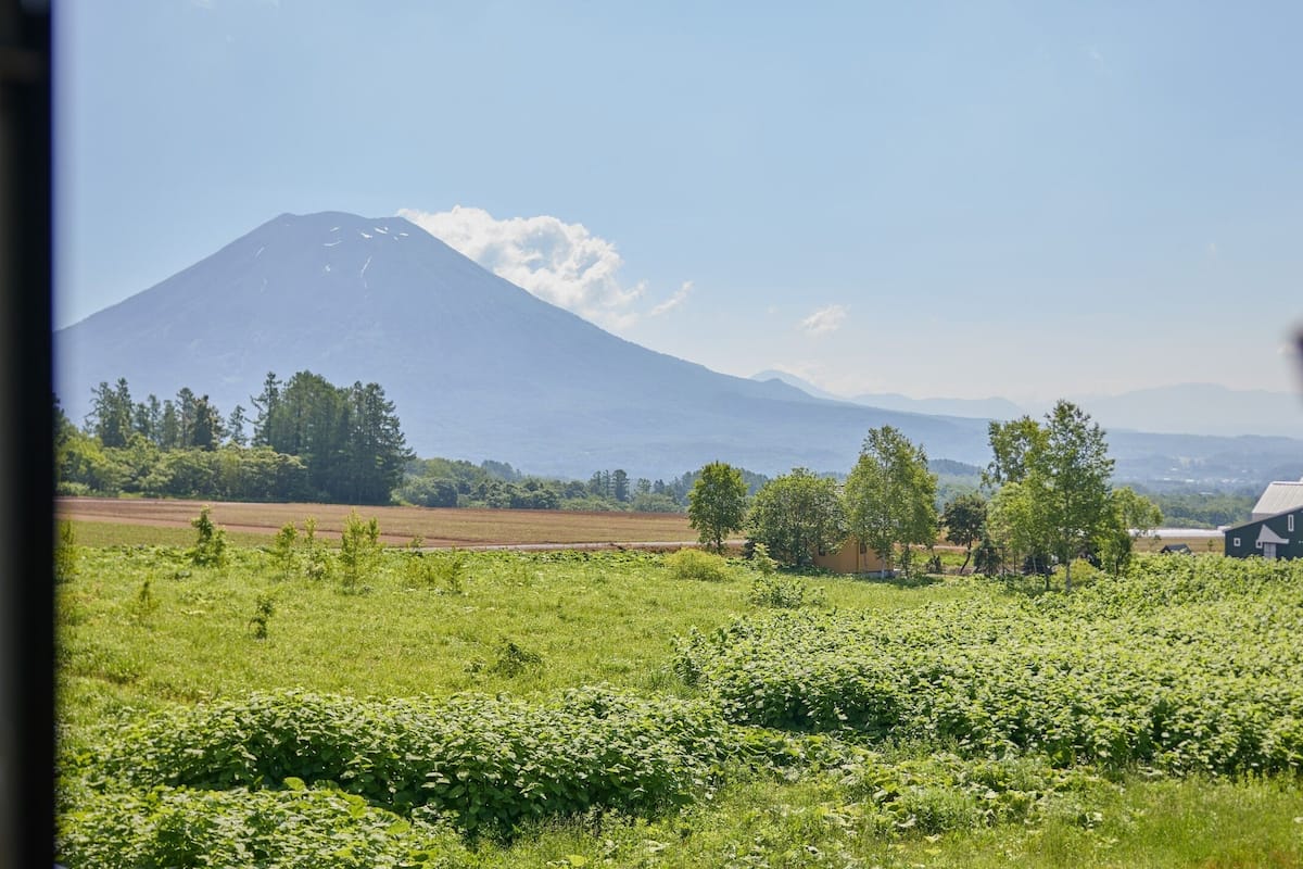 Vista desde la propiedad