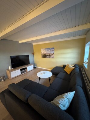 Smart TV, fireplace, stereo, computer monitors