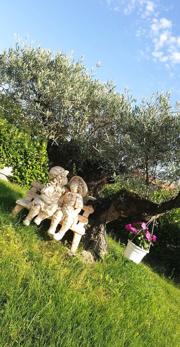 Property grounds - alba magica (Agerola)