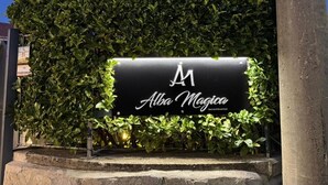 A sign for 'Alba Magica' with a hedge backdrop. - alba magica (Agerola)