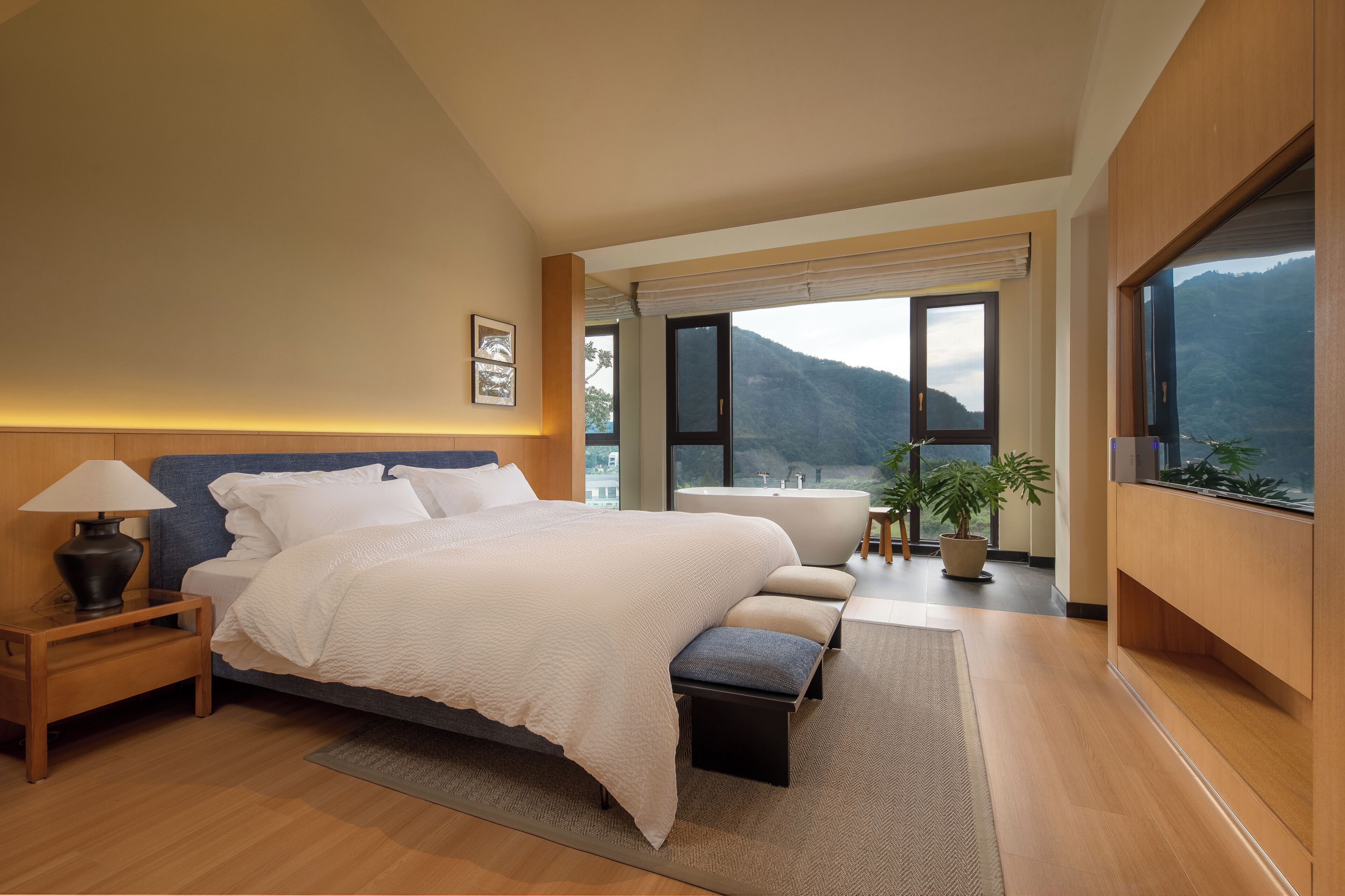 Luxury Suite | Free WiFi