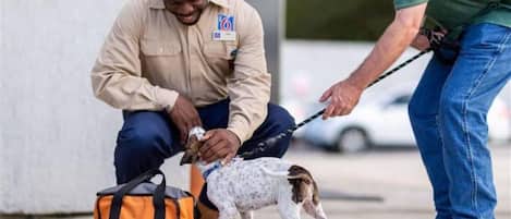 En person i en beige uniform med ett namnmärke, som interagerar med en liten, fläckig hund i ett koppel.