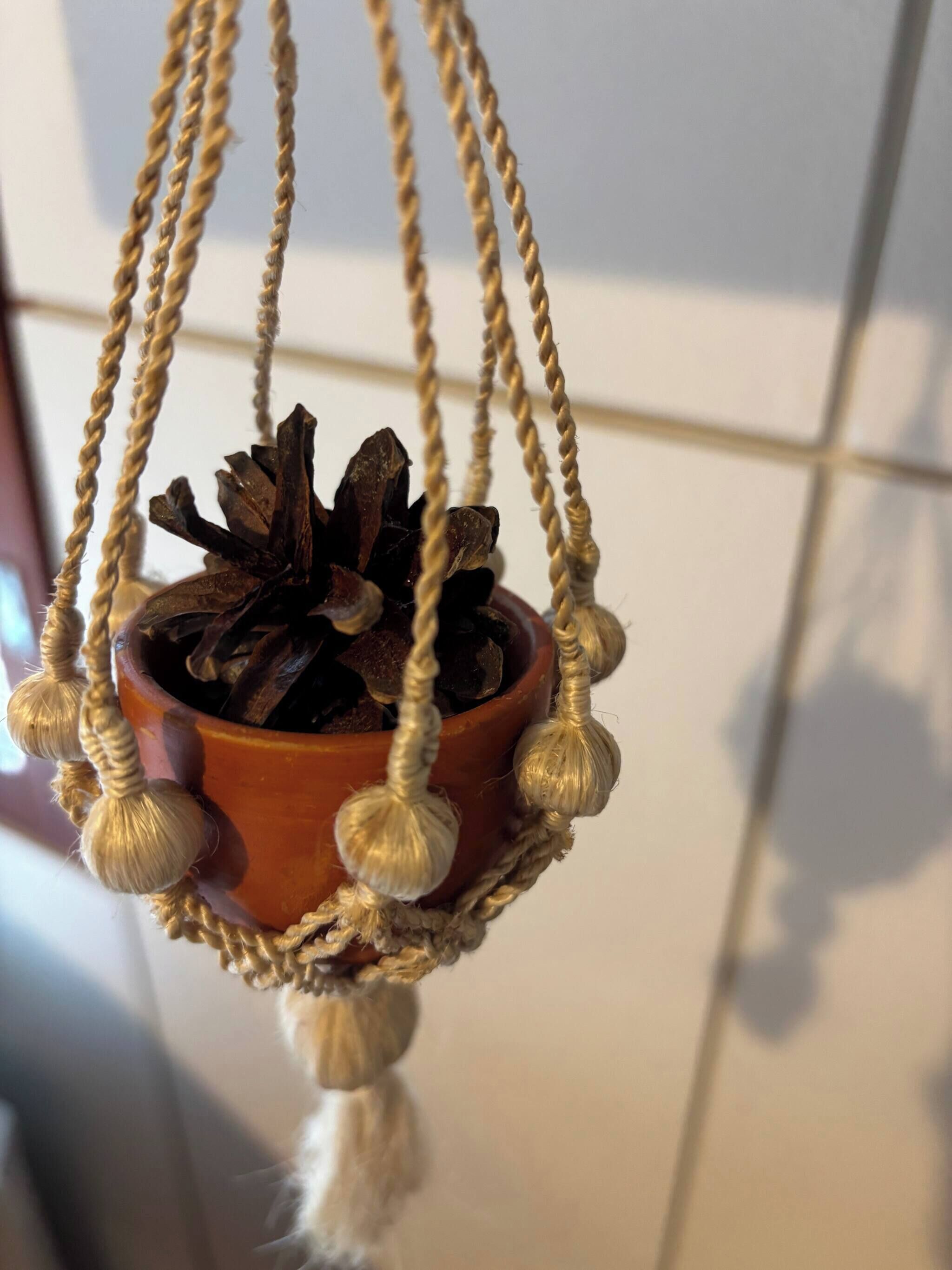 A hanging macrame pot with a succulent plant.