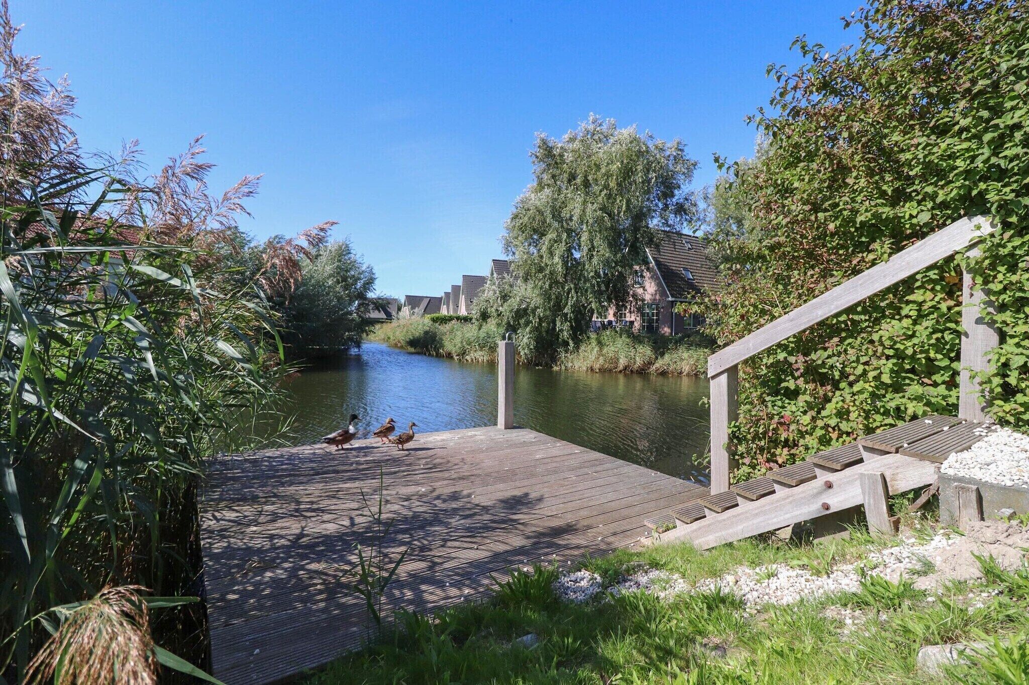 Eine Holzsteganlage führt in einen ruhigen Fluss, umgeben von Grünflächen und Häusern im Hintergrund.