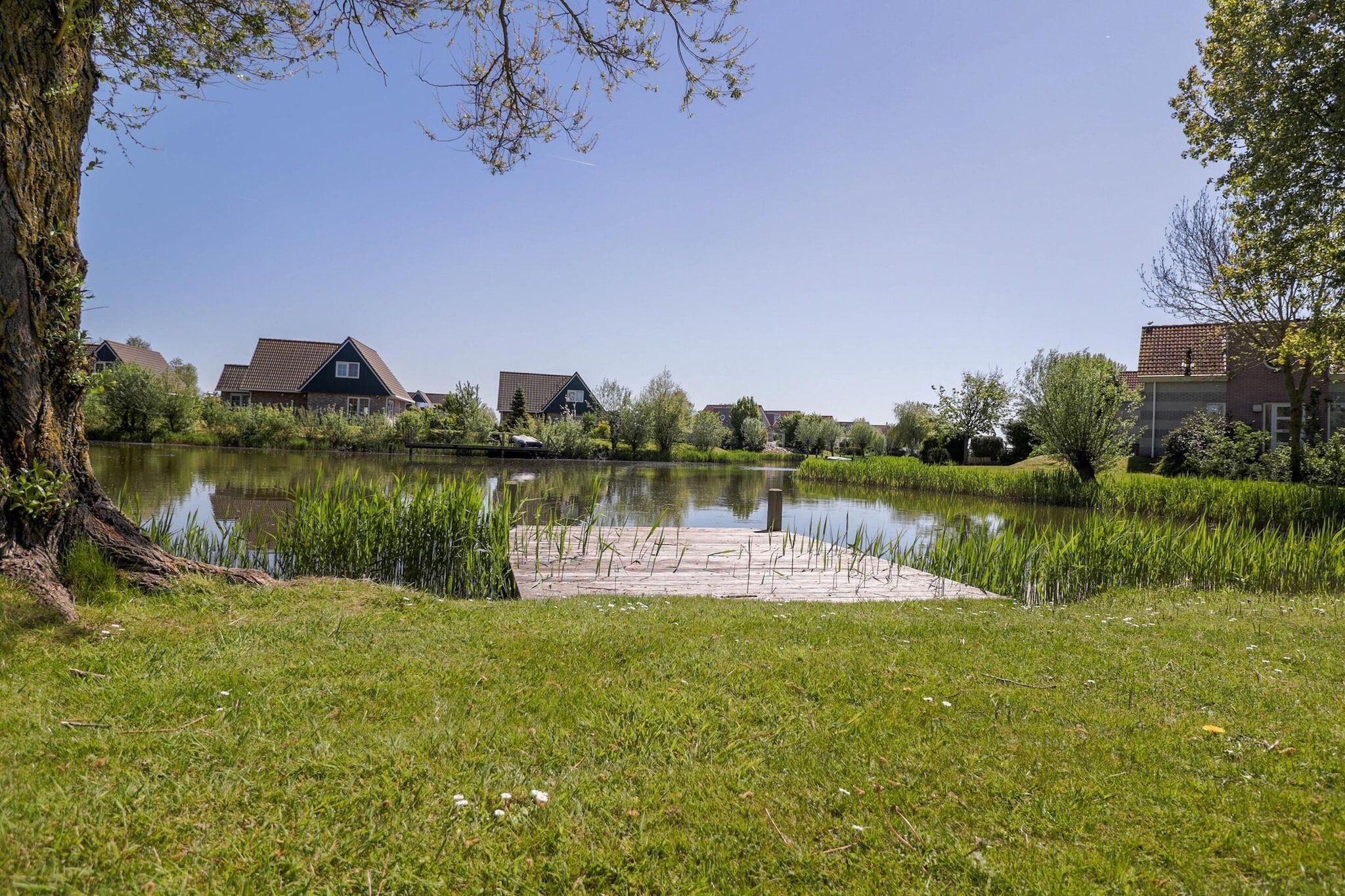 A tranquil lakeside setting with a wooden dock, lush greenery, and residential buildings in the background.