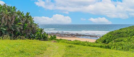 A coastal landscape with a grassy foreground, a sandy beach, and the ocean in the background.