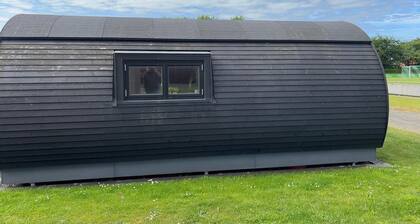 1 bedroom cozy home in Skjern