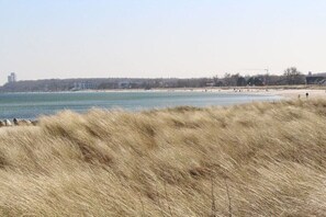 Ein Strand mit sandigem Ufer, grasbewachsenen Dünen und ruhiger See.