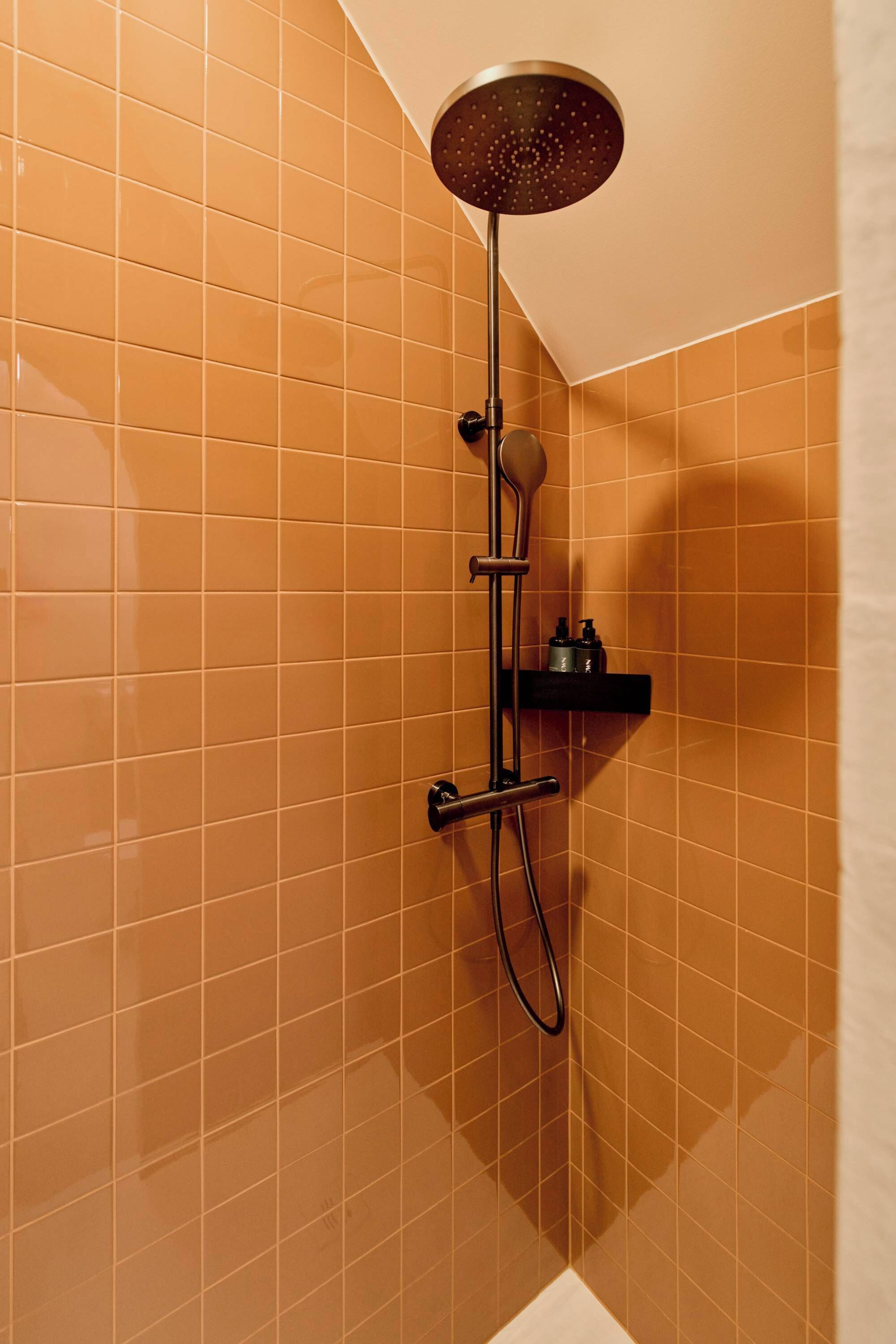 Dusche, Haartrockner, Handtücher, Shampoo