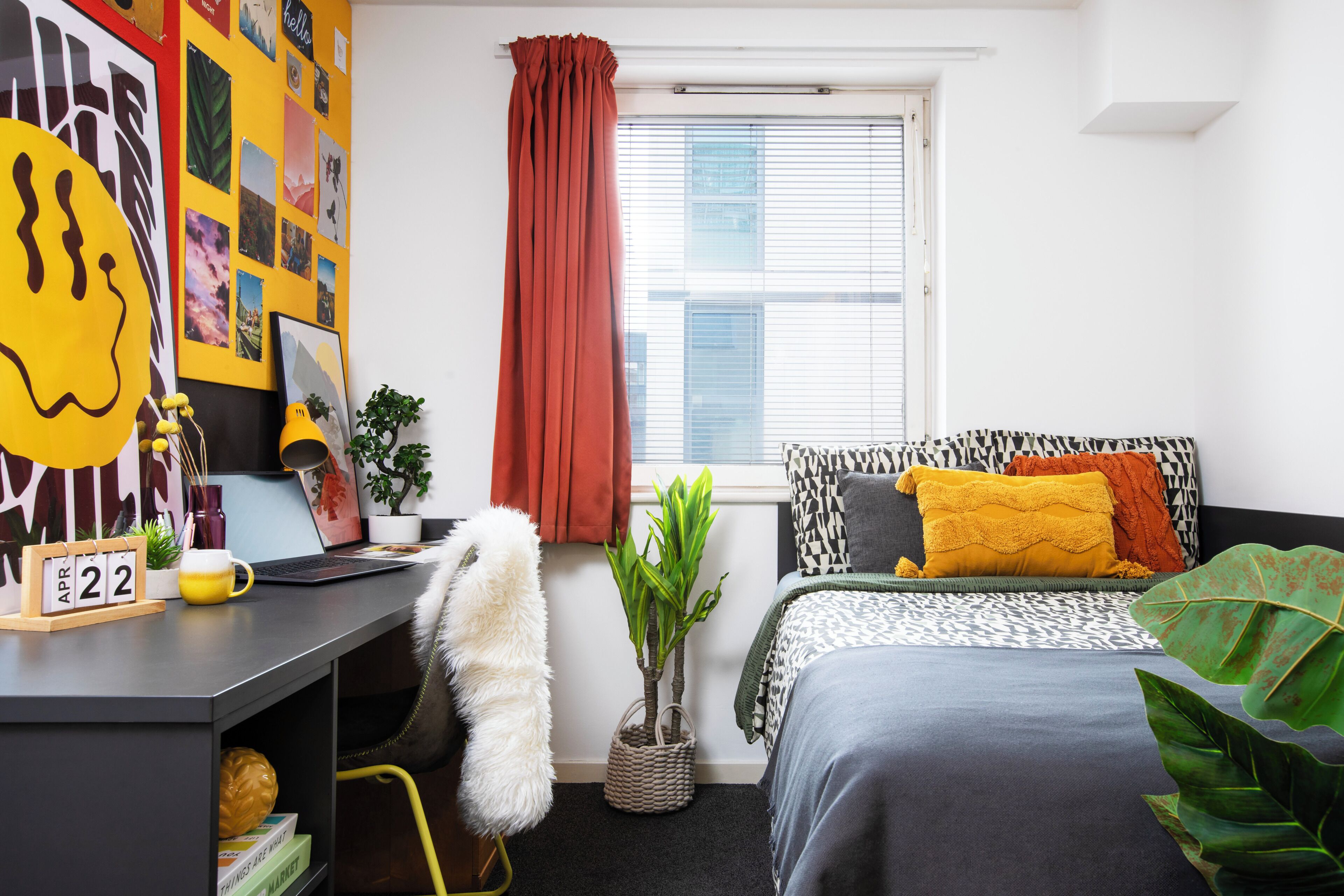 Single Room, Non Smoking | Free WiFi