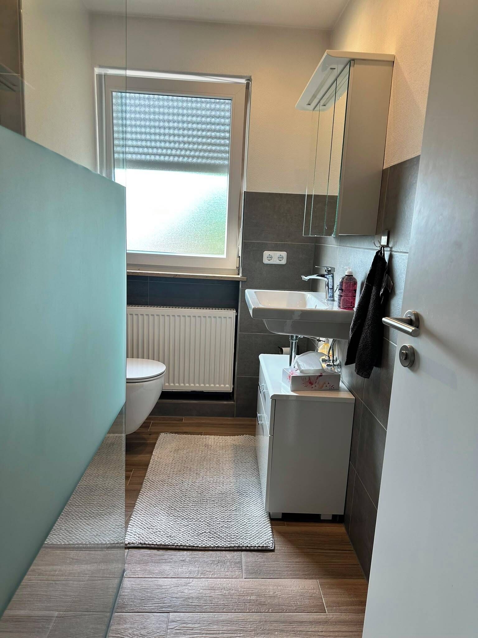 Shower, towels, toilet paper