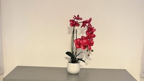 內部