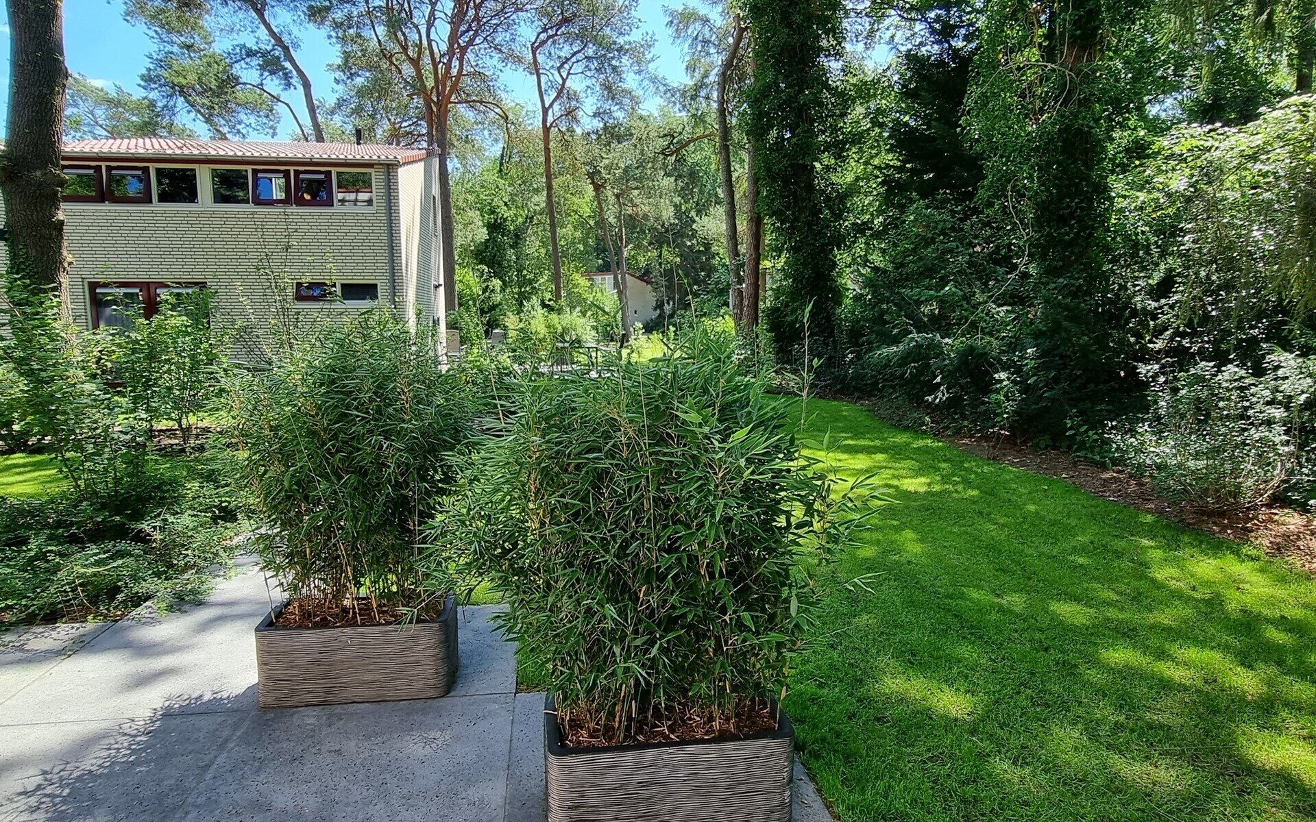 A residential area with a paved pathway, a house with a tiled roof, and a well-maintained lawn.