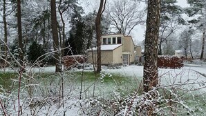 A house with a brick exterior, surrounded by snow-covered trees and a lawn.