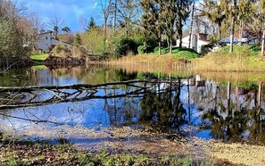 Un lac paisible, avec un arbre abattu au premier plan, entouré d’arbres et de quelques bâtiments en arrière-plan.