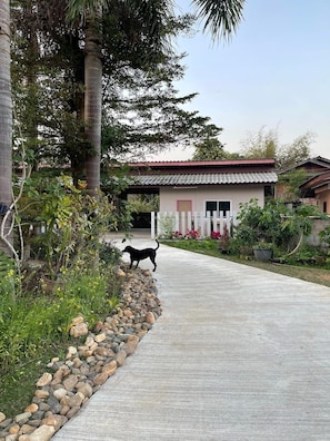 Front of property - Rural Stay Baan Mea Pen  Nature Retreat  (Chiang Rai)