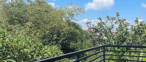 Un balcón con barandilla metálica que da a un jardín exuberante con diversas plantas y árboles.