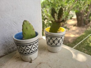 Interior detail - Haouariette: Your Favorite Place to Stay (El Haouaria)
