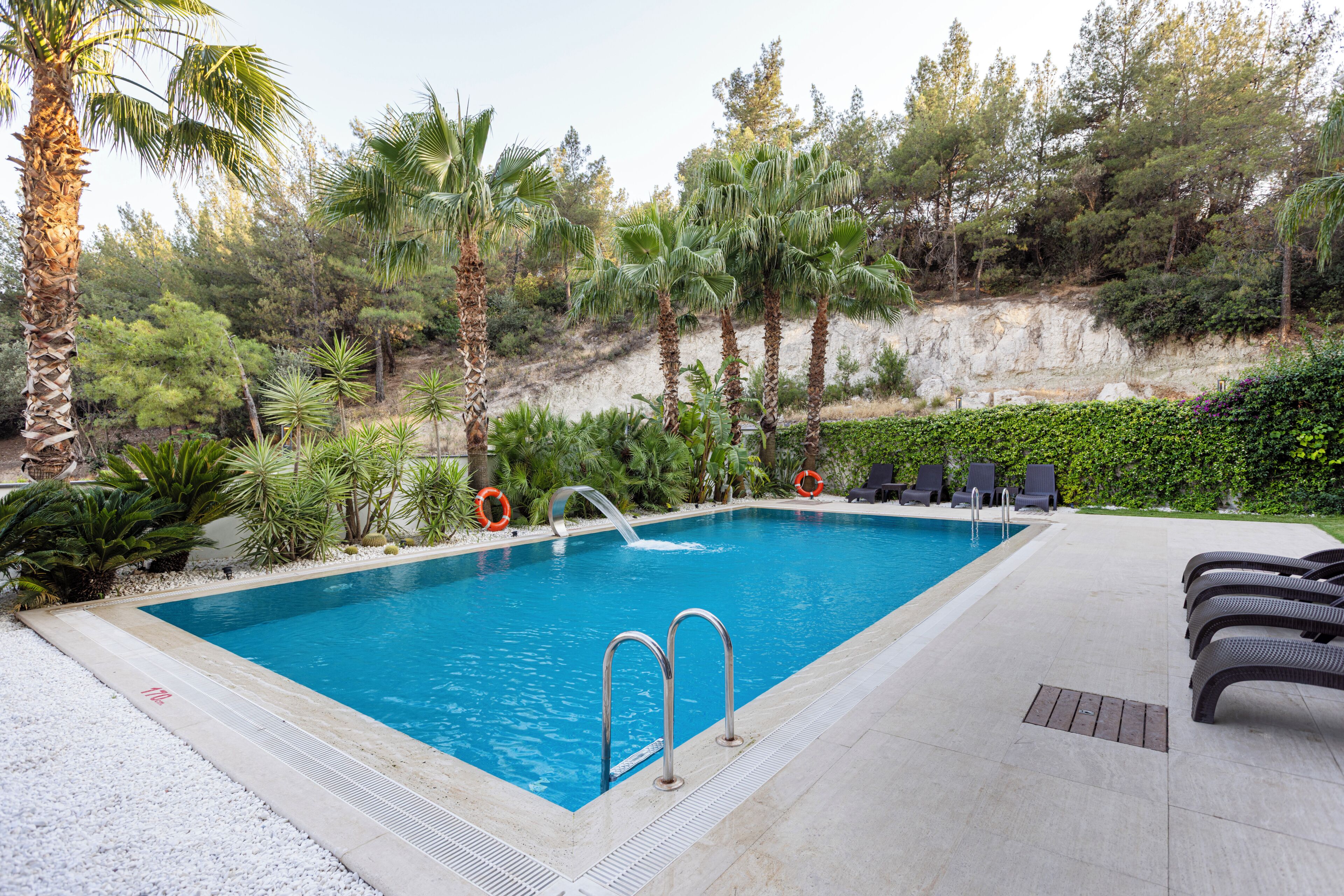 Une piscine rectangulaire, dotée de deux échelles en métal, entourée de palmiers et d’autres plantes, avec des chaises longues et une bouée de sauvetage visibles.