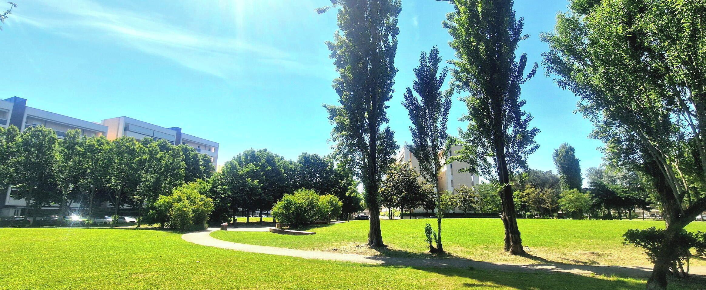A park with a pathway, trees, and a building in the background.
