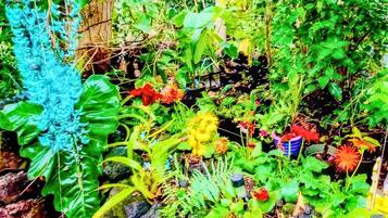 A lush garden with a variety of plants and flowers, a stone wall, and a wooden structure.