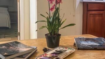 A kitchen area with a refrigerator, a sink, and a potted orchid on the counter.