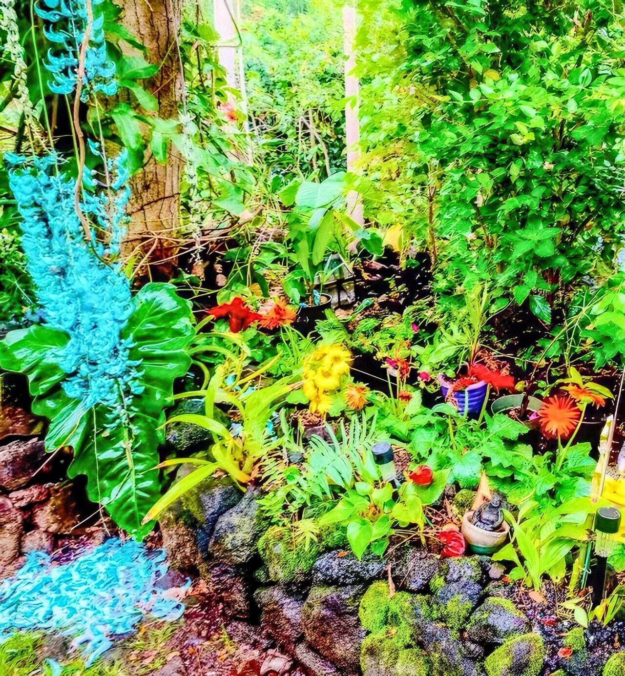 A lush garden with various plants and a stone wall.