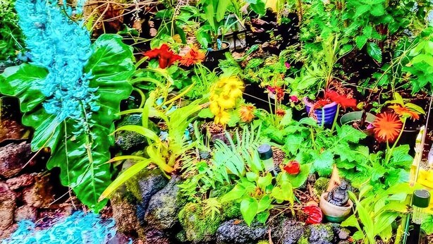 A lush garden with a variety of plants and flowers, a stone wall, and a wooden structure. - Hale Akala - Hanalei (Shared Bathroom) (Kailua-Kona)