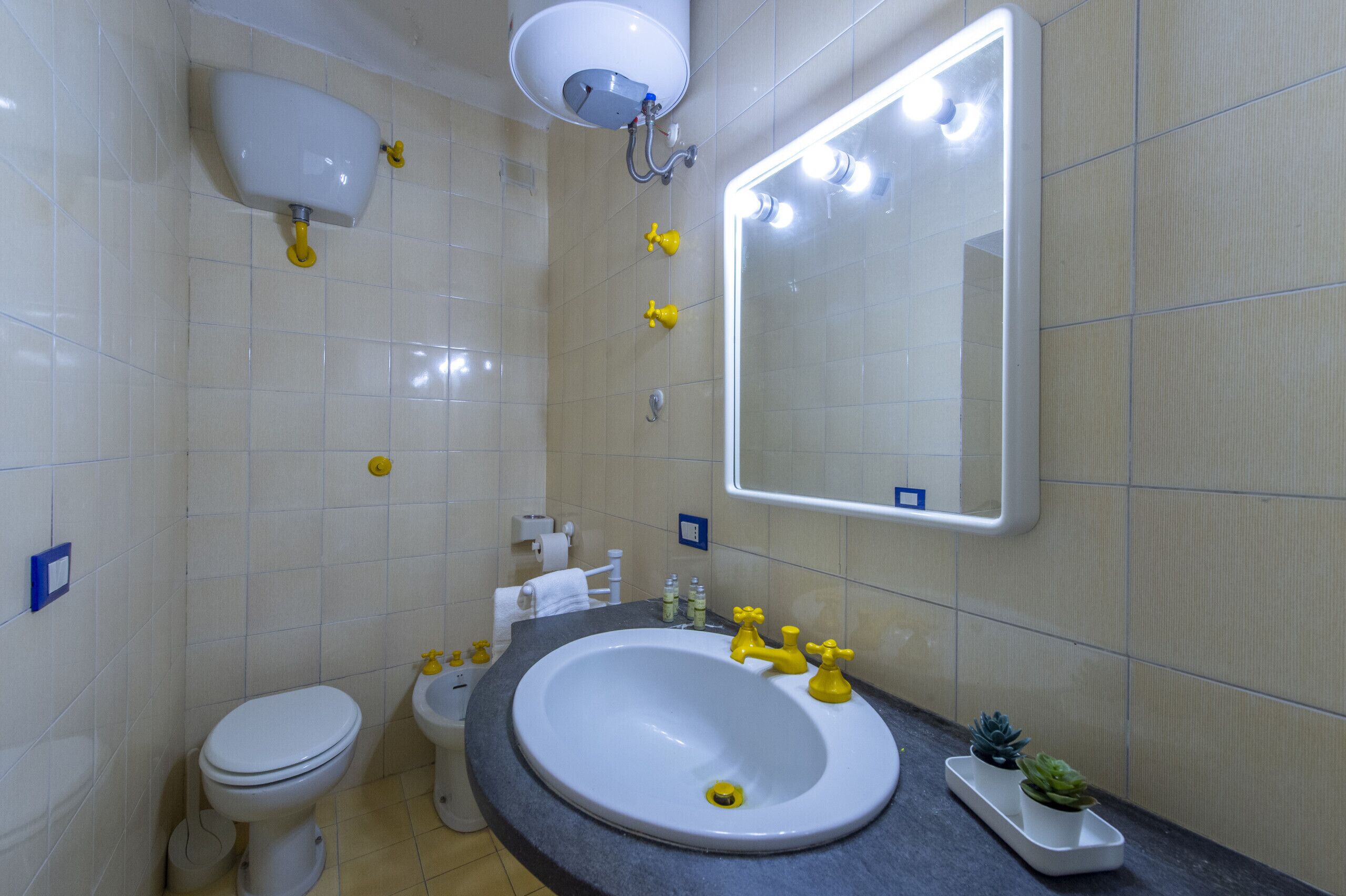 Une salle de bain avec un lavabo, des toilettes et un bidet, tous de couleur blanche. Un miroir avec des lumières est placé au-dessus du lavabo, et une petite plante décore le comptoir.
