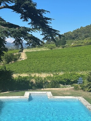 Piscina com vista para um vinhedo e colinas ao fundo.