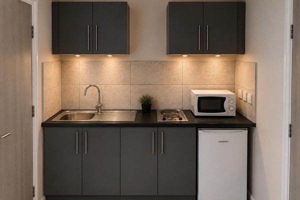 Fridge, microwave, stovetop, electric kettle