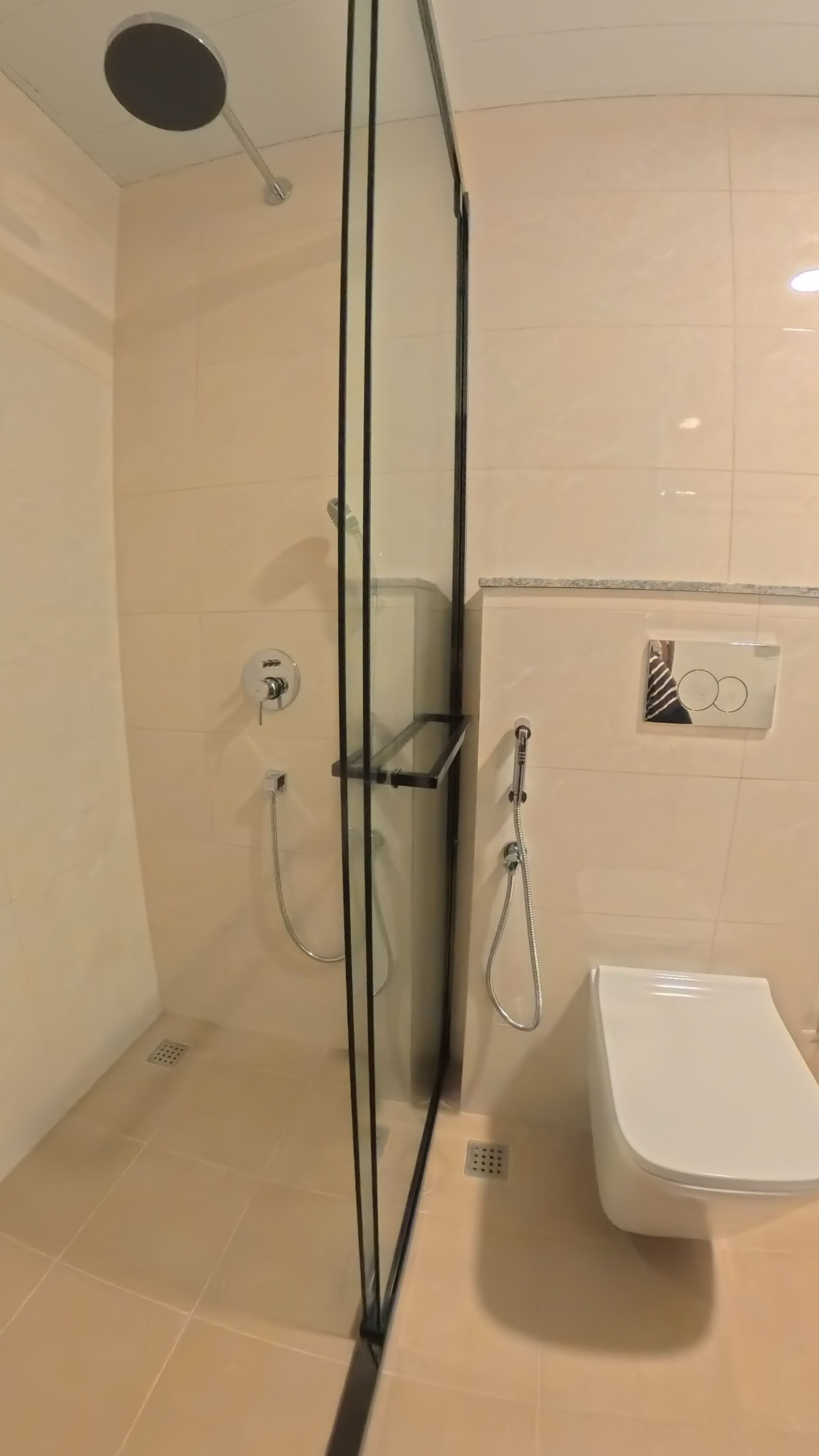 Un baño con ducha de vidrio, inodoro y bidé empotrado.