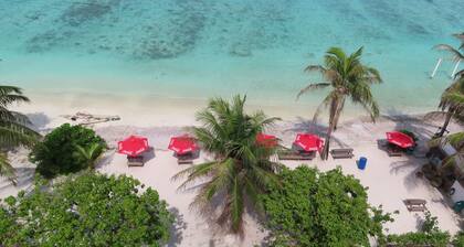 The Oceanview Grand Maldives