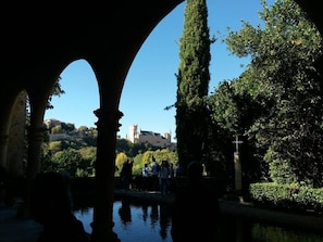 Imagen general
