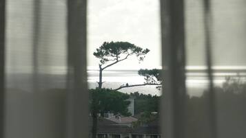 A view through window blinds of a coastal landscape with trees and a body of water.