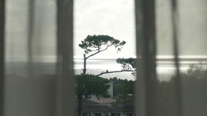 A view through window blinds of a coastal landscape with trees and a body of water.