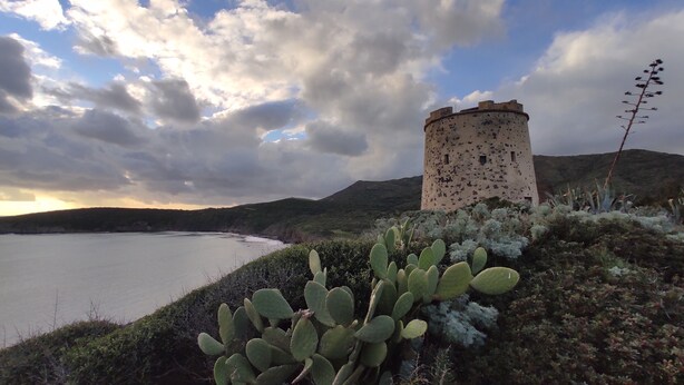 Un paysage côtier avec une tour, des cactus et une étendue d’eau.