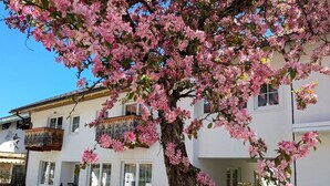 Ein Gebäude mit Balkon und ein Baum mit rosa Blüten vor der Fassade.