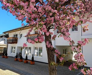 A building with a balcony and a tree with pink flowers in front. - 100-square-meter vacation rental with 3 separate bedrooms (Ruhpolding)