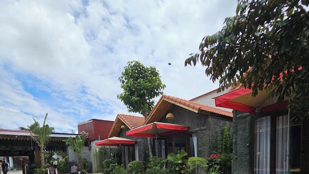 Ảnh chưa phân loại, 1 trong số 11 ảnh, nút