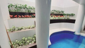 Hồ bơi trong nhà 