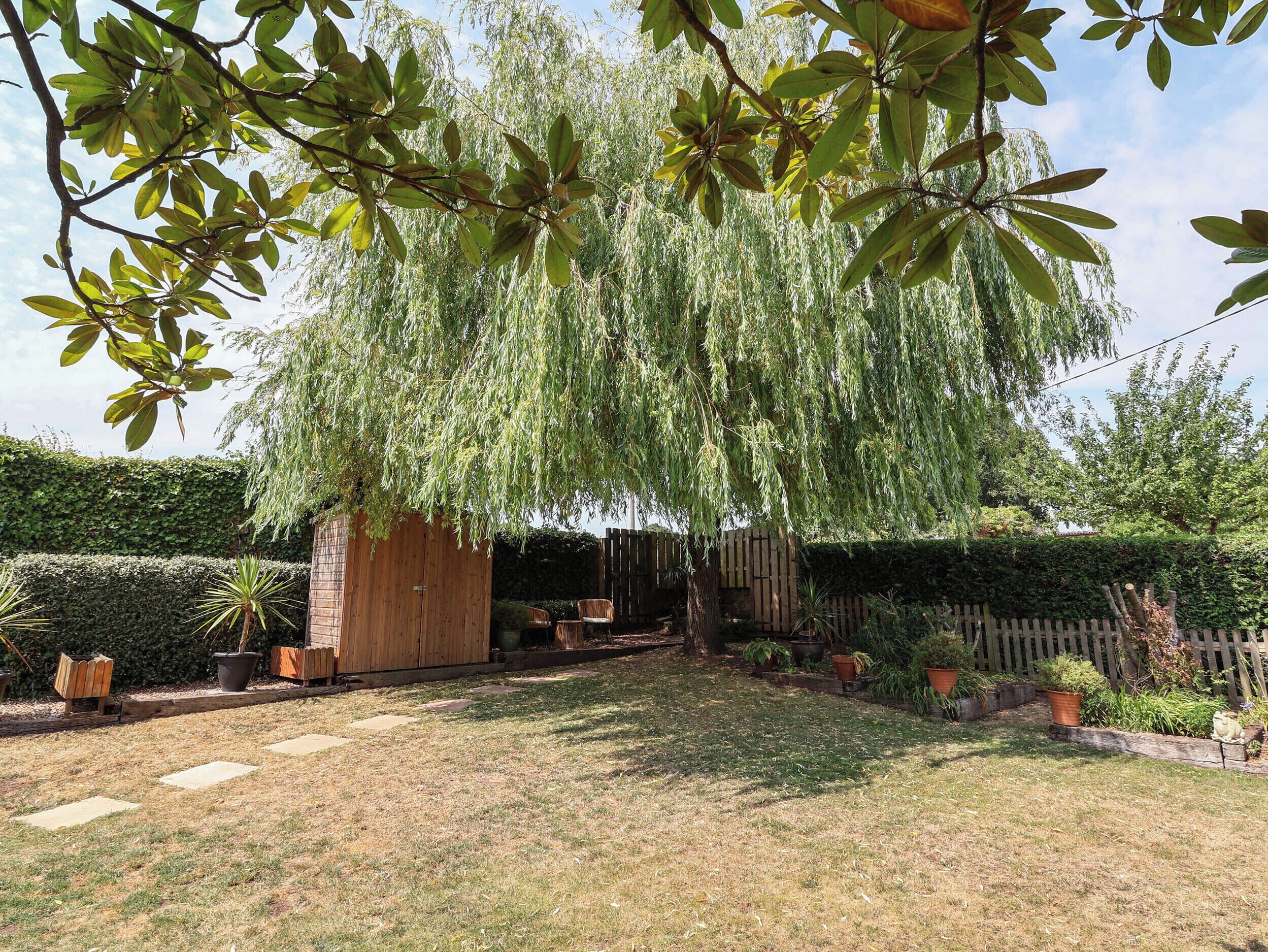 A backyard with a wooden shed, a lawn, and a weeping willow tree.