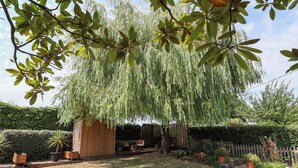 A backyard with a wooden shed, a lawn, and a weeping willow tree. - Pete's Place (Taunton)